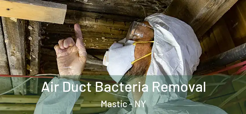 Air Duct Bacteria Removal Mastic - NY