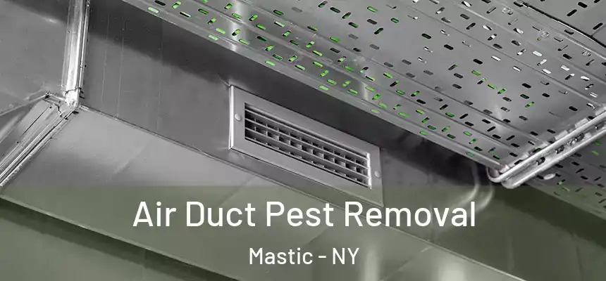  Air Duct Pest Removal Mastic - NY