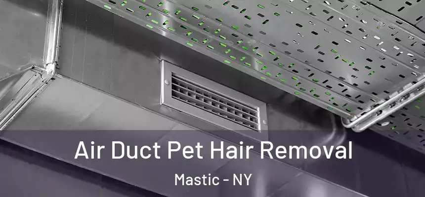 Air Duct Pet Hair Removal Mastic - NY