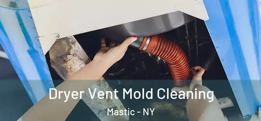  Dryer Vent Mold Cleaning Mastic - NY