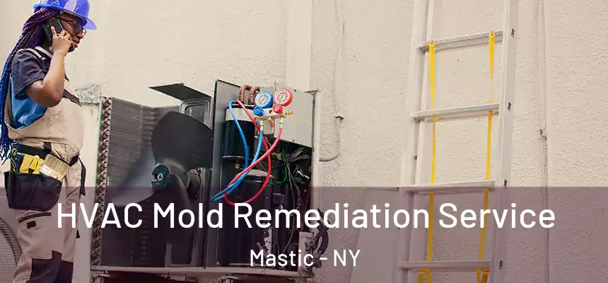  HVAC Mold Remediation Service Mastic - NY