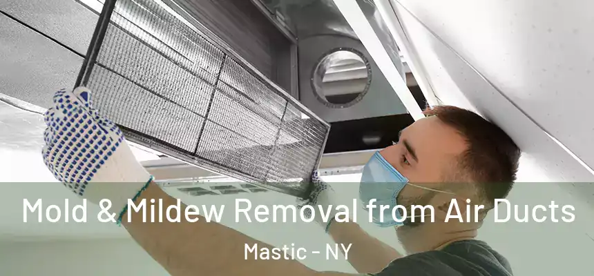  Mold & Mildew Removal from Air Ducts Mastic - NY