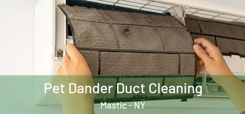  Pet Dander Duct Cleaning Mastic - NY
