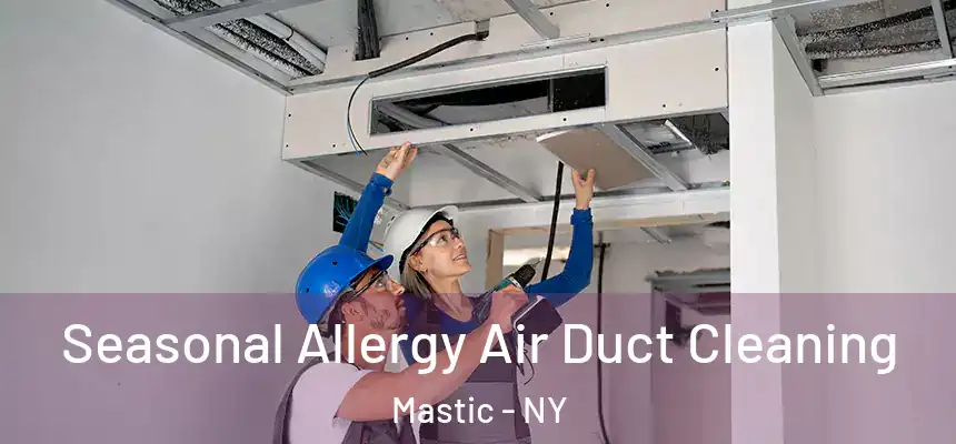 Seasonal Allergy Air Duct Cleaning Mastic - NY