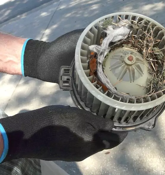 About Air Duct Rat Removal in Mastic, NY