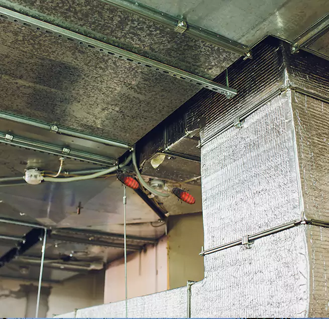 Why Homeowners & Businesses Trust Us in Mastic, NY?