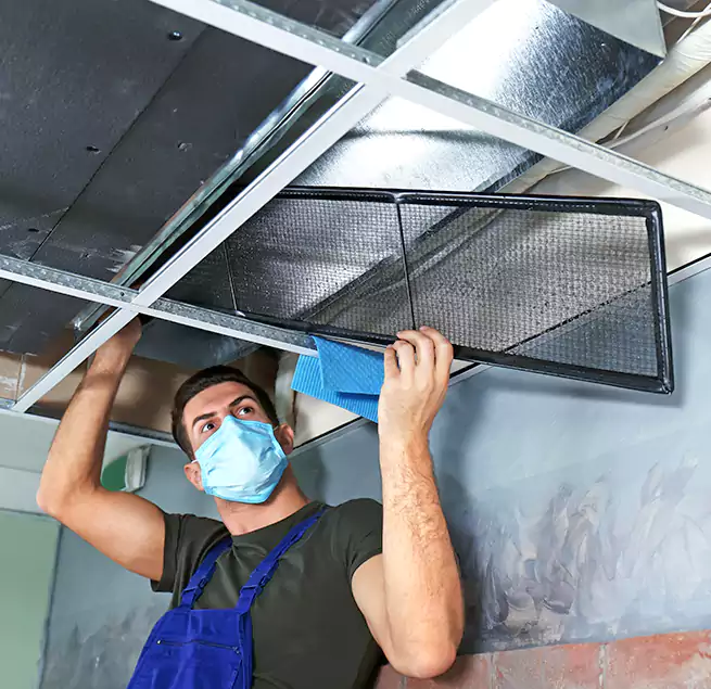 Why Homeowners Businesses Trust Us in Mastic, NY