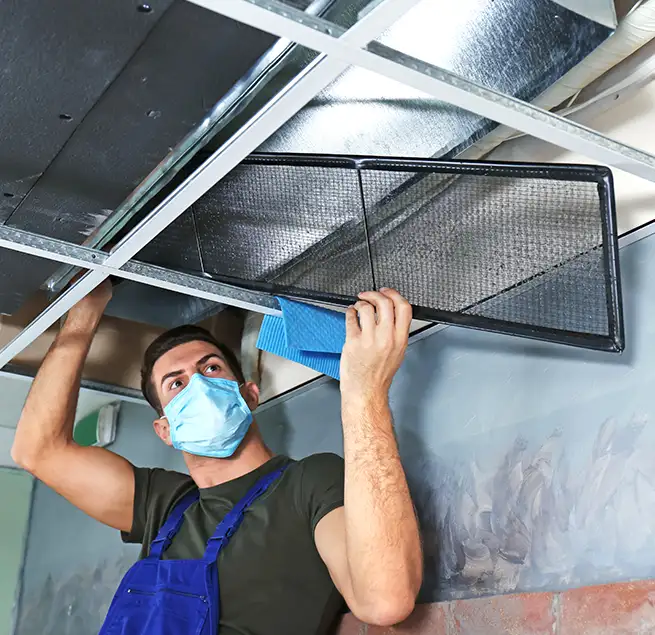 Why Homeowners & Businesses Trust Us in Mastic, NY?