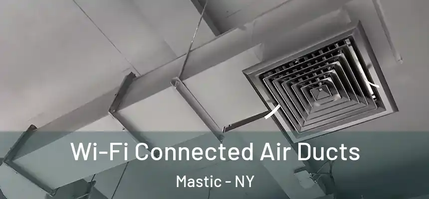  Wi-Fi Connected Air Ducts Mastic - NY